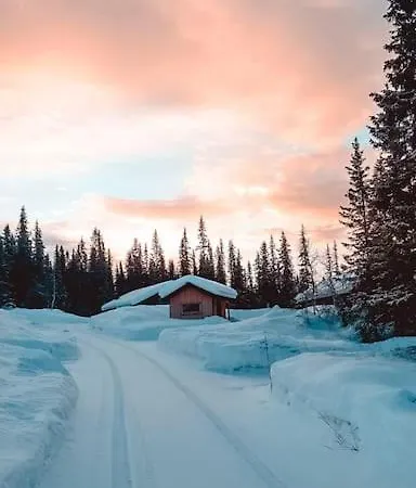 Cozy Mountain With Beautiful Views & Sauna シャレー Beitostolen