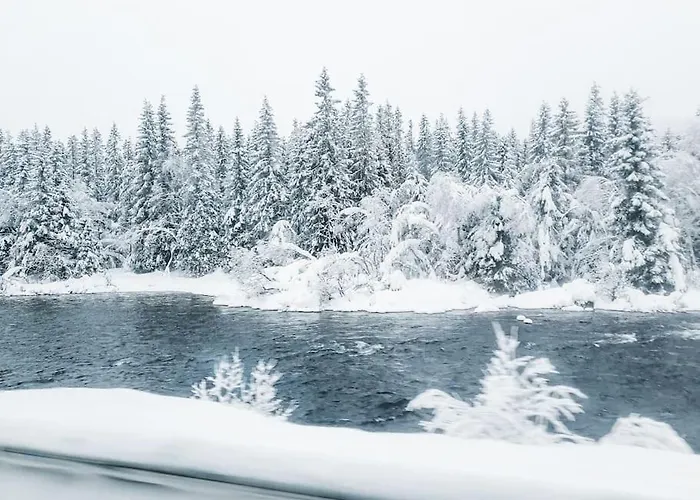 Cozy Mountain With Beautiful Views & Sauna Σαλέ