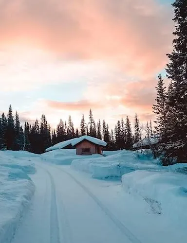 Cozy Mountain With Beautiful Views & Sauna Σαλέ Beitostolen