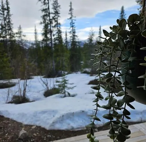 Cozy Mountain With Beautiful Views & Sauna