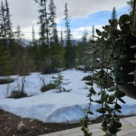 Cozy Mountain With Beautiful Views & Sauna