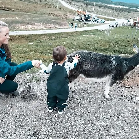 Alpstuga Cozy Mountain With Beautiful Views & Sauna *